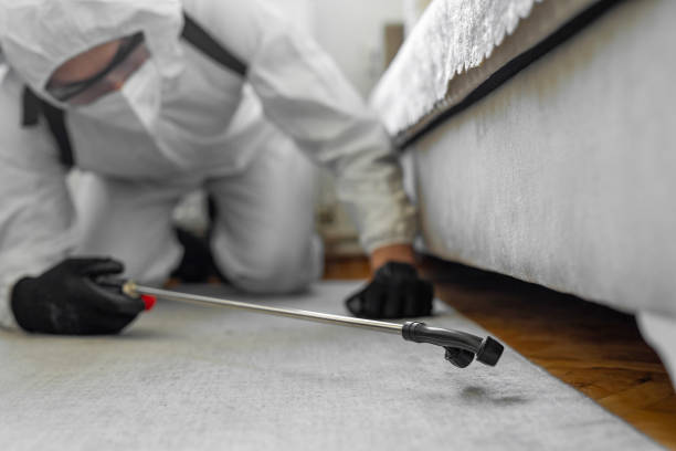 Professional Bed Bug Control technician working in San Marcos, CA