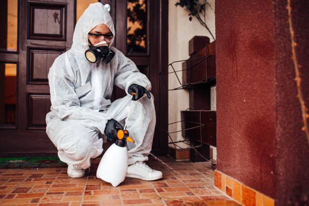 Reliable Bed Bug Control contractor in San Marcos, CA by Nex Pest Control