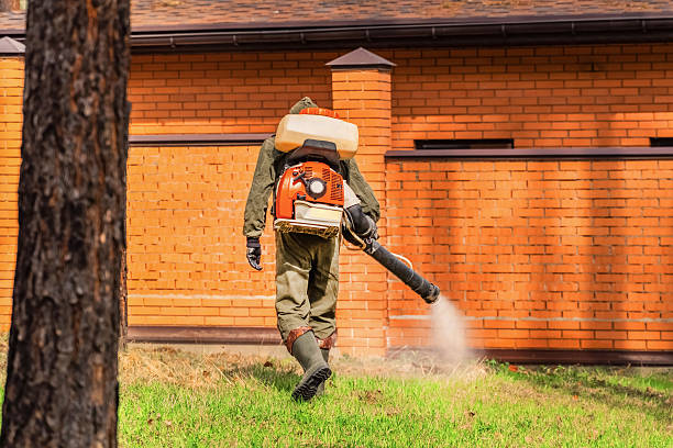 Trusted Termite Control service in San Marcos, CA - Nex Pest Control